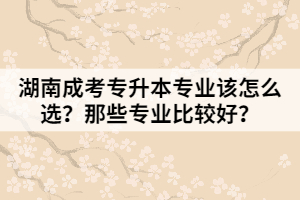 湖南成考專升本專業(yè)該怎么選？那些專業(yè)比較好？