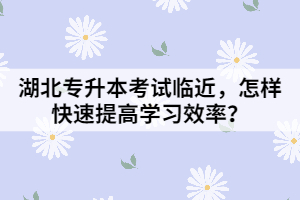 湖北專升本考試臨近，怎樣快速提高學(xué)習(xí)效率？