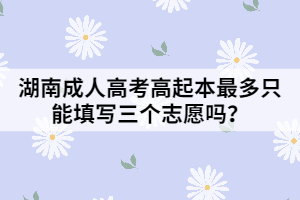 湖南成人高考高起本最多只能填寫三個志愿嗎？