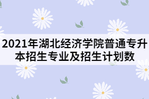 2021年湖北經(jīng)濟(jì)學(xué)院普通專(zhuān)升本招生專(zhuān)業(yè)及招生計(jì)劃數(shù)