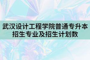 2021年武漢設計工程學院普通專升本招生專業(yè)及招生計劃數(shù)