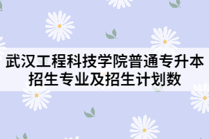 2021年武漢工程科技學(xué)院普通專(zhuān)升本招生專(zhuān)業(yè)及招生計(jì)劃數(shù)