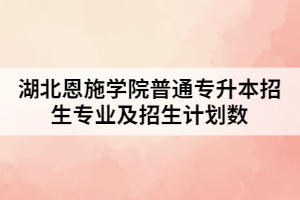 2021年湖北恩施學院普通專升本招生專業(yè)及招生計劃數(shù)