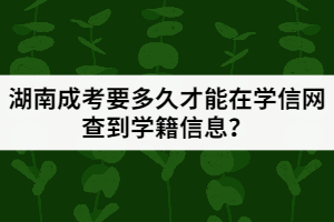 湖南成考要多久才能在學信網(wǎng)查到學籍信息？