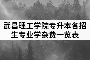 2021年武昌理工學(xué)院專升本各招生專業(yè)學(xué)雜費一覽表