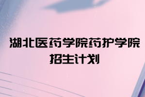 2021年湖北醫(yī)藥學(xué)院藥護(hù)學(xué)院普通專升本招生計(jì)劃