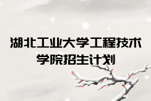 2021年湖北工業(yè)大學(xué)工程技術(shù)學(xué)院普通專(zhuān)升本招生計(jì)劃