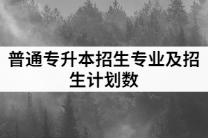 2021年湖北工程學(xué)院新技術(shù)學(xué)院普通專升本招生專業(yè)及招生計劃數(shù)