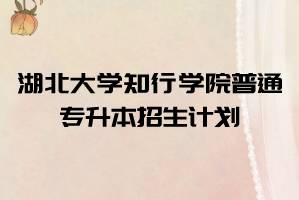 2021年湖北大學知行學院普通專升本招生計劃