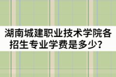 湖南城建職業(yè)技術(shù)學(xué)院2021年各招生專業(yè)學(xué)費(fèi)是多少？