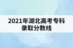 2021年湖北高考?？其浫》謹?shù)線
