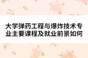 大學彈藥工程與爆炸技術(shù)專業(yè)主要課程及就業(yè)前景如何