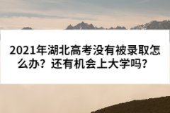 2021年湖北高考沒有被錄取怎么辦？還有機會上大學嗎？
