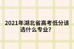 2021年湖北省高考低分該選什么專(zhuān)業(yè)？