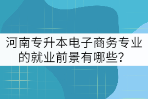 河南專(zhuān)升本電子商務(wù)專(zhuān)業(yè)的就業(yè)前景有哪些?
