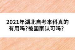2021年湖北自考本科真的有用嗎?被國(guó)家認(rèn)可嗎？