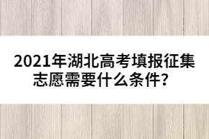 2021年湖北高考填報征集志愿需要什么條件？