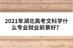 2021年湖北高考文科學(xué)什么專業(yè)就業(yè)前景好？
