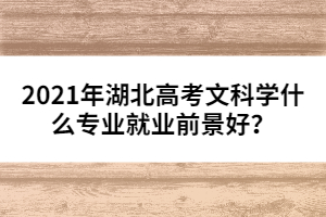 2021年湖北高考文科學(xué)什么專業(yè)就業(yè)前景好？