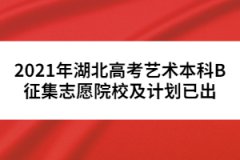 2021年湖北高考藝術(shù)本科B征集志愿院校及計劃已出
