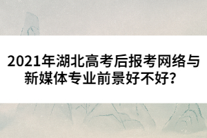 2021年湖北高考后報(bào)考網(wǎng)絡(luò)與新媒體專業(yè)前景好不好？