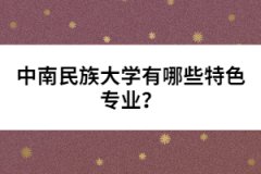 中南民族大學有哪些特色專業(yè)？