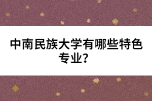 中南民族大學(xué)有哪些特色專業(yè)？