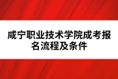 咸寧職業(yè)技術(shù)學(xué)院成考報名流程及條件
