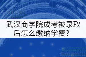 武漢商學(xué)院成考被錄取后怎么繳納學(xué)費？