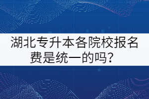 湖北專升本各院校的報名費是統(tǒng)一的嗎？