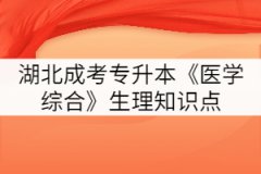 2021年湖北成考專升本《醫(yī)學(xué)綜合》生理知識(shí)點(diǎn)五