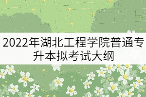 2022年湖北工程學院專升本《高級語言程序設(shè)計（C語言）》考試大綱