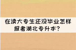 在讀大專生還沒畢業(yè)怎樣報考湖北專升本？