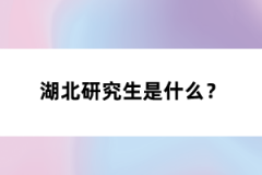 湖北研究生是什么？