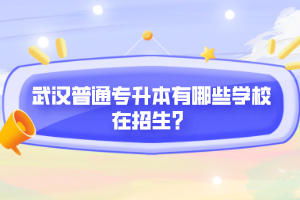 武漢普通專升本有哪些學(xué)校在招生？
