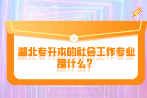 湖北專升本的社會工作專業(yè)是什么？