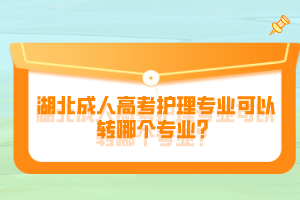 湖北成人高考護(hù)理專業(yè)可以轉(zhuǎn)哪個(gè)專業(yè)？