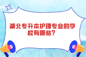 湖北專升本護理專業(yè)的學校有哪些？