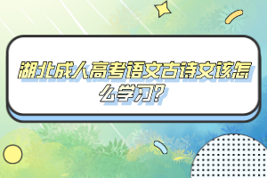 湖北成人高考語(yǔ)文古詩(shī)文該怎么學(xué)習(xí)？