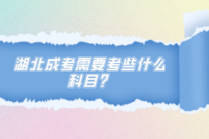 湖北成考需要考些什么科目？