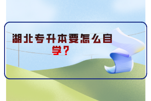湖北專升本要怎么自學(xué)？