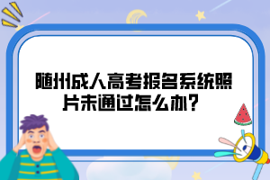 隨州成人高考報(bào)名系統(tǒng)照片未通過怎么辦？
