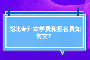 湖北專(zhuān)升本學(xué)費(fèi)和報(bào)名費(fèi)如何交？