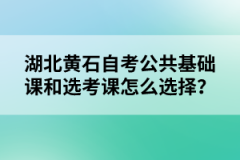 湖北黃石自考公共基礎(chǔ)課和選考課怎么選擇？