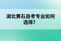 湖北黃石自考專業(yè)如何選擇？