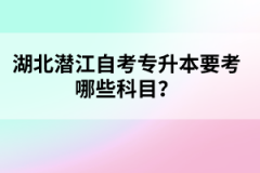 湖北潛江自考專升本要考哪些科目？