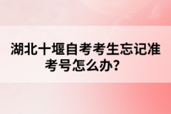 湖北十堰自考考生忘記準考號怎么辦？