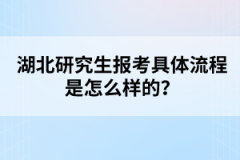 湖北研究生報考具體流程是怎么樣的？
