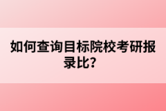 如何查詢目標院校考研報錄比？