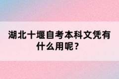 湖北十堰自考本科文憑有什么用呢？